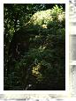 2008_Bayreuth_BR_FS_40