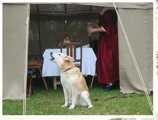 2008_Fulda_Zivil_18