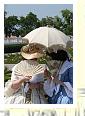 Schlosshof_2008_20