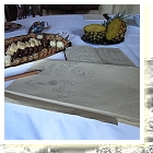 5_Wissenschaft